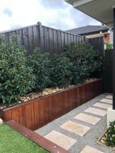 Bonus Fence Spraying, fence spraying, repaint fence, fence spraying Cranbourne, fence spraying Frankston, fence spraying Carrum Downs, fence spraying Seaford, fence spraying Langwarrin, fence spraying Melbourne, fence spraying Chelsea, fence spraying Carrum , fence spraying