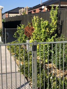 IMG 0399